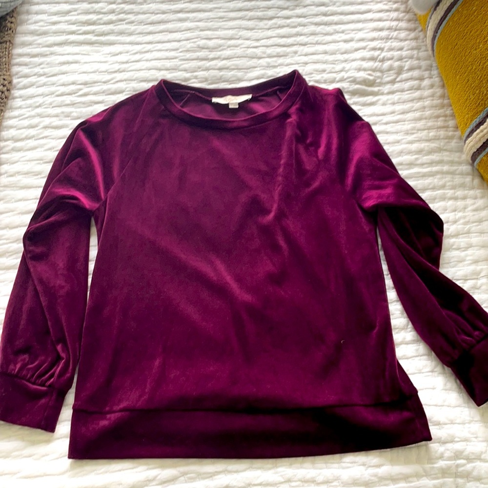 Loft velour crew neck
